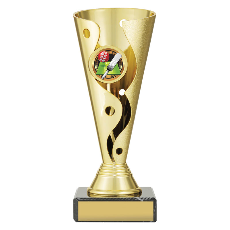 Carnival Cup - Cricket