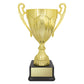 Rubicon Gold Cup