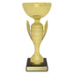 Guardian Cup