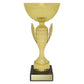 Guardian Cup