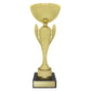 Guardian Cup