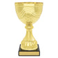 Community Cup