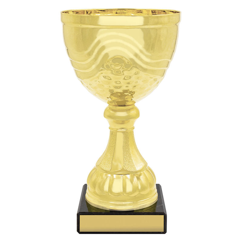 Community Cup
