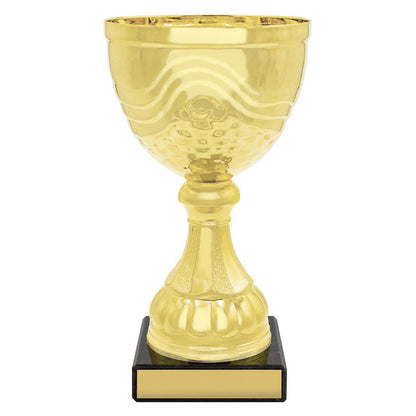 Community Cup