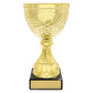 Community Cup