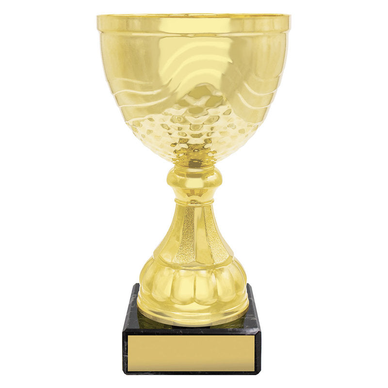 Community Cup