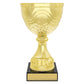 Community Cup