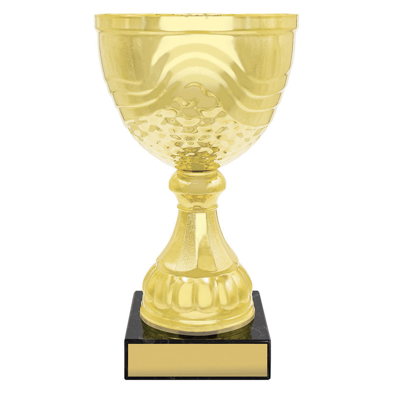 Community Cup