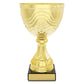 Community Cup