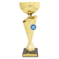 Inspire Cup