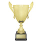 Ironside Cup - Gold