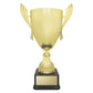 Ironside Cup - Gold