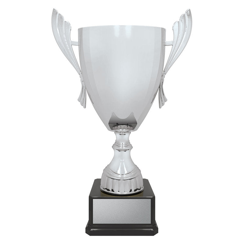Ironside Cup - Silver