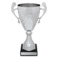 Silver Eternal Cups