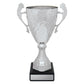 Silver Eternal Cups