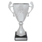 Silver Eternal Cups