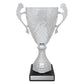 Silver Eternal Cups