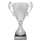 Silver Eternal Cups