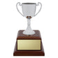 Classic Silver Cup