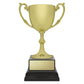 Ace Recognition Gold
