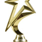 Star Award
