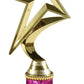 Star Award