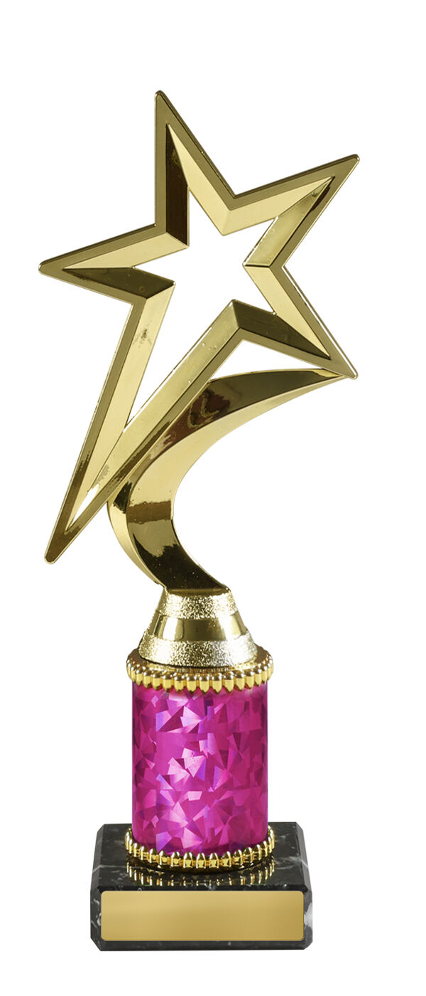 Star Award