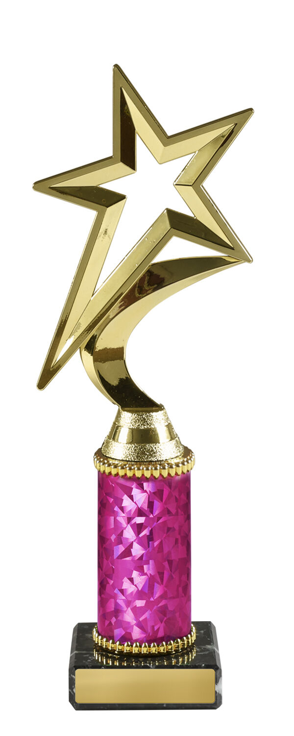 Star Award