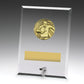 Glass Plaques - Male