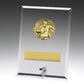 Glass Plaques - Male