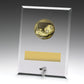 Glass Plaques - Football