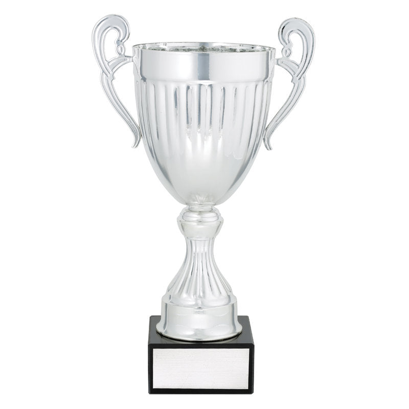 Endeavour - Silver