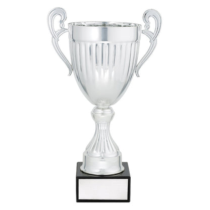 Endeavour - Silver