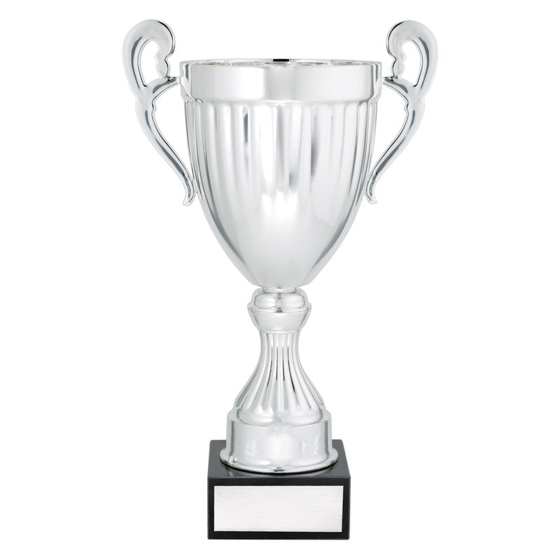 Endeavour - Silver