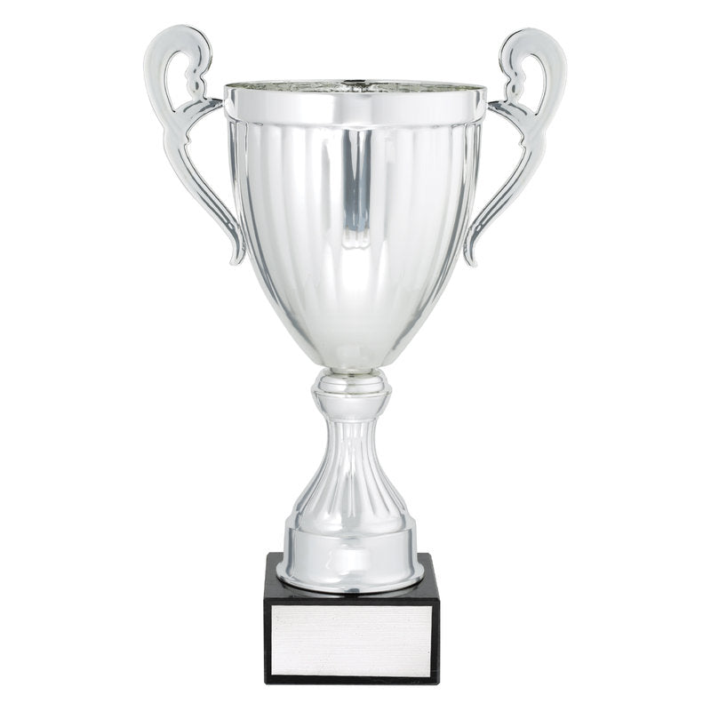 Endeavour - Silver