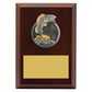 Peak Plaque Fishing