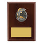 Peak Plaque Fishing