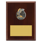 Peak Plaque Fishing