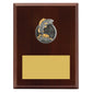 Peak Plaque Fishing