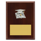 Peak Plaque Academic