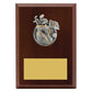 Peak Plaque Golf