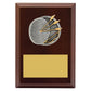Peak Plaque Archery