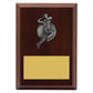 Plaque - Male Bowling