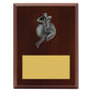 Plaque - Male Bowling