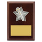 Peak Plaque Public Speaking