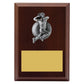 Plaque - Female Bowling