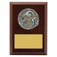 Peak Plaque Triathlon