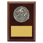 Peak Plaque Triathlon
