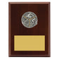 Peak Plaque Triathlon