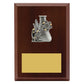 Peak Plaque Science